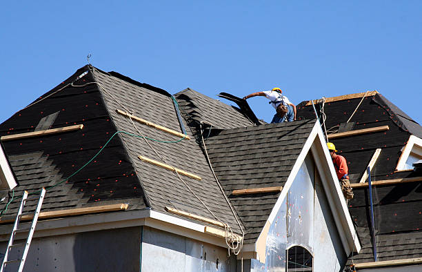 Best Storm Damage Roof Repair  in Pandora, OH